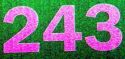  -243